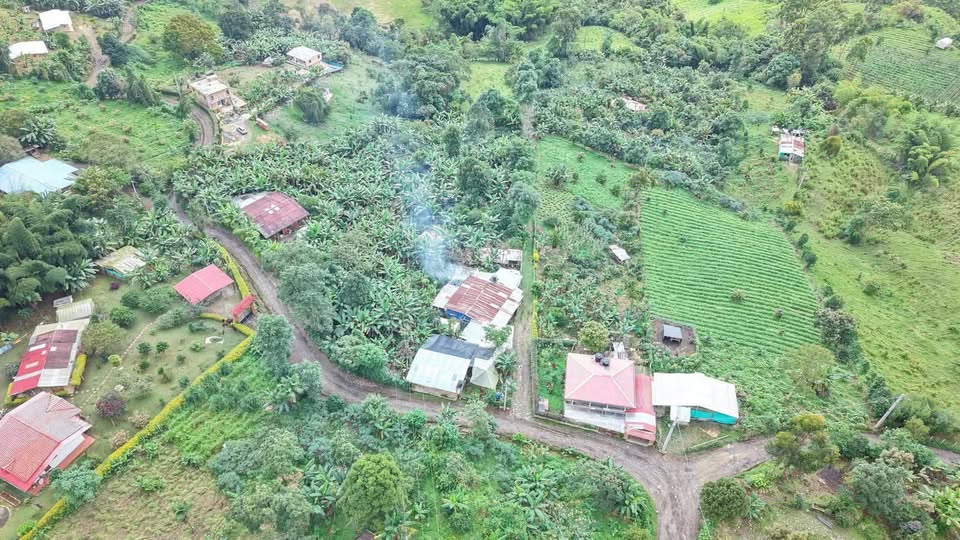 Lotes 1.500 mt2 – Los Nogales