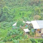 504142922_4501241976820833_1941997181278966004_n