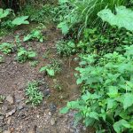 504359692_4501241973487500_5076686923814562167_n