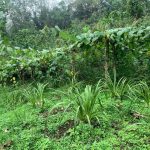 504379068_4501241663487531_7312733744648299720_n