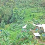 504387946_4501241943487503_2553741841441370412_n