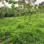 504660353_4501241823487515_6540325182399389327_n