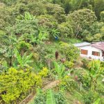 555668606_1910602519798074_7933861285611255694_n