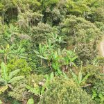 555730502_1117624687140849_7221285944141601349_n