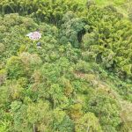 556273488_1818567975411540_7225030451780910529_n