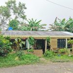 WhatsApp Image 2025-11-27 at 12.16.09