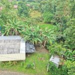 WhatsApp Image 2025-11-27 at 12.16.14