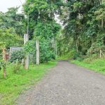 WhatsApp Image 2025-11-27 at 12.16.15