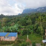 WhatsApp Image 2025-11-27 at 12.44.03 (2)