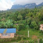 WhatsApp Image 2025-11-27 at 12.44.04