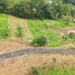 WhatsApp Image 2025-11-27 at 12.54.52 (1)