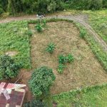 WhatsApp Image 2025-11-27 at 13.05.52 (4)